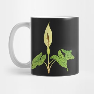 Arum maculatum - botanical illustration Mug